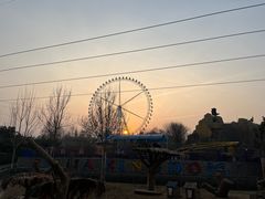 -石家庄市动物园