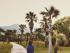 -普陀山雷迪森庄园
