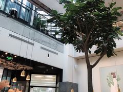 -大树餐厅(红旗街万达店)
