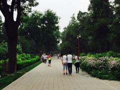 景山公园-景山公园