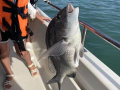 -鑫艋游艇海钓俱乐部