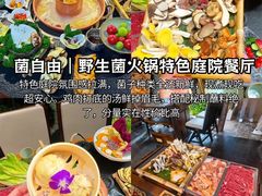 -菌自由丨野生菌火锅特色庭院餐厅(丽江古城店)