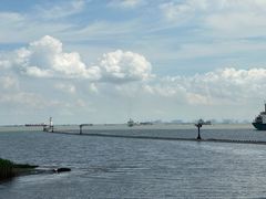 -上海吴淞炮台湾国家湿地公园