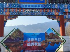 -北京西山国家森林公园