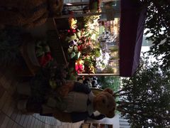 泰迪熊博物馆-济州岛泰迪熊博物馆