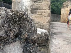 -威远炮台