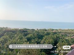 -三亚湾海居铂尔曼度假酒店