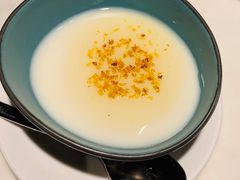 桂花豆腐花-陶陶居酒家(新天地店)
