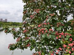 -白塘生态植物园