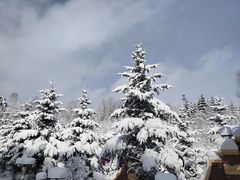 -亚布力新体委滑雪场