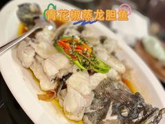 青花椒蒸龙胆鱼-闽和南(深圳万象城店)