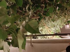 -Catail前苑(前门大街店)