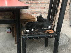 -新疆狼爷烤肉(宋庄店)