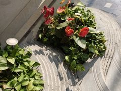 -浅深Cheersum(曹杨店)