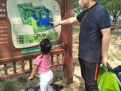 -大兴滨河森林公园