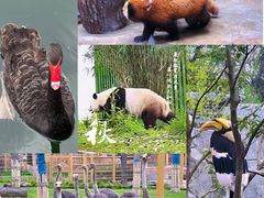 -武汉动物园