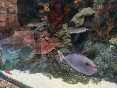 -沈阳海洋探索中心