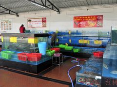 水产区-崖口红树林海鲜餐厅
