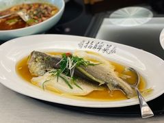 鸡油花雕蒸大黄鱼-上海人家精作坊(汇商店)