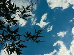 -碓臼峪自然风景区