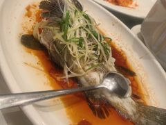 -大东海海鲜酒楼(渔人码头总店)