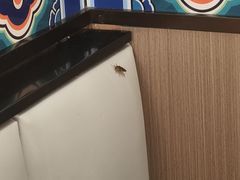 -董记老清泉·鲜切涮羊肉(窑岭店)