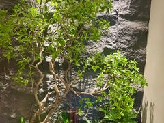 -予厘·推拿按摩·精油SPA(憩舍长安店)