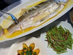 -苏帮袁Sue Cuisine(来福士店)