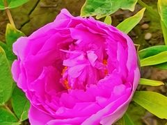 -咸阳湖景区-古渡公园