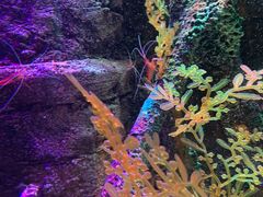 -沈阳海洋探索中心