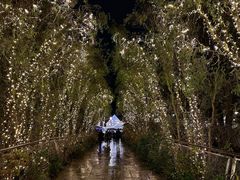 -伦敦比斯特购物村