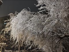 -水磨沟公园