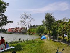 -上海长兴岛郊野公园