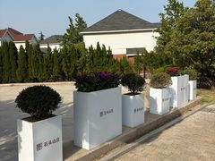 -仰口沙滩