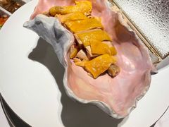 -领鲜天下·焗海鲜·花胶鸡(天目里店)