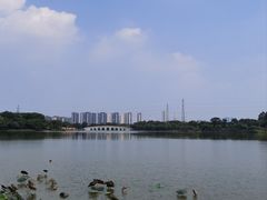 -顺峰山公园
