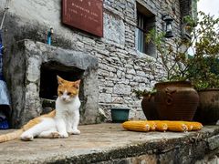 -高荡千年布依古寨旅游景区