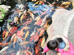 -龙达温泉生态城