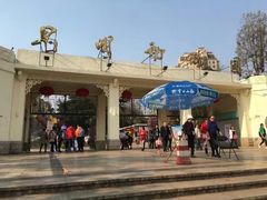 -昆明动物园