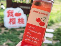 -白鹿原樱桃园