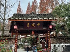 -青城甲(青城山店)