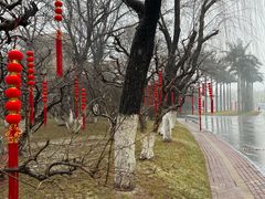 -西安国际创新人才交流中心•药浴温泉