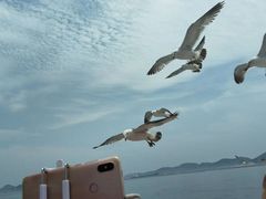 -海驴岛(荣成市)