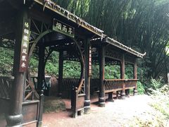 -川西竹海景区