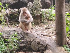 -黔灵山公园