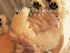 -翊宠yipet猫狗购宠庄园犬舍•猫舍