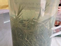 -高老庄·老溧阳·私房菜(南山竹海店)