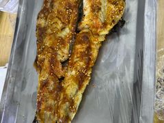 -小老虎