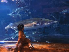 -华夏文旅海洋公园