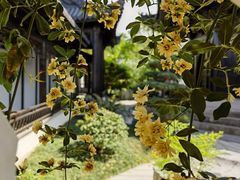 -月栖华明-云间草堂清茶馆(泗泾古镇店)